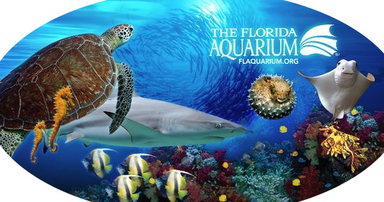floridaaquarium2
